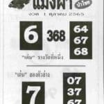 เลขดี หวยแมงผา1/10/65