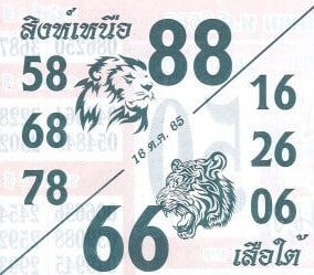 เลขดี หวยสิงห์เหนือเสือใต้16-10-65