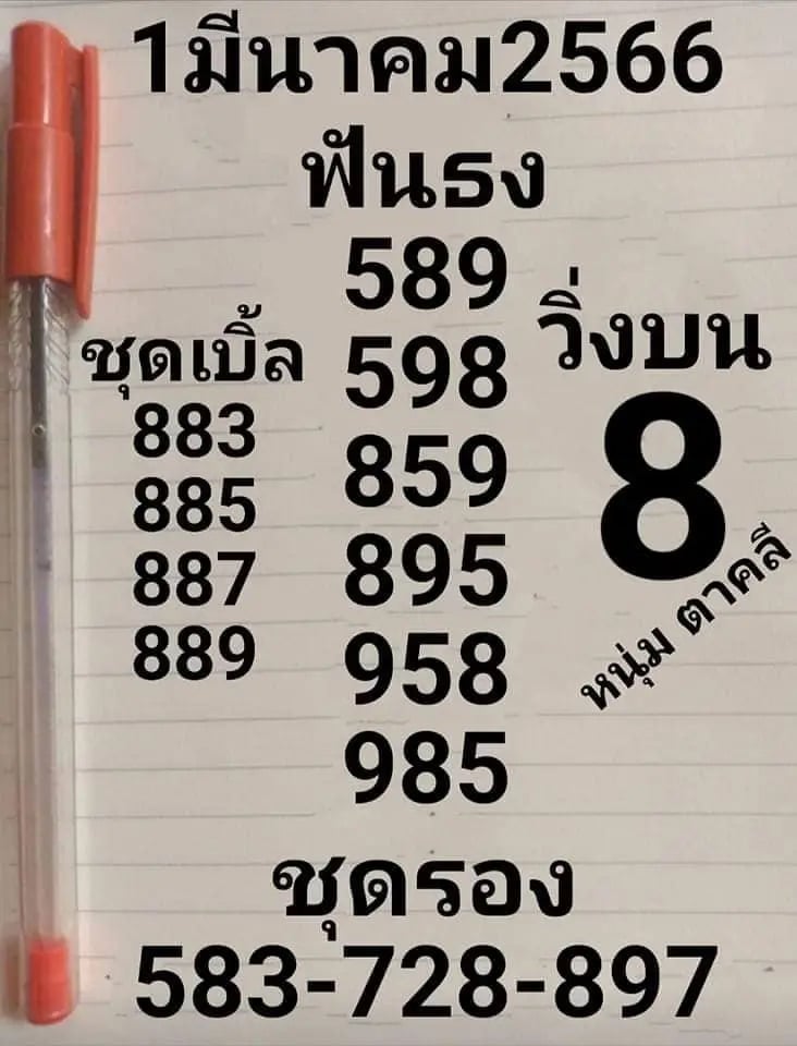 หวยหนุ่มตาคลี 1-3-66