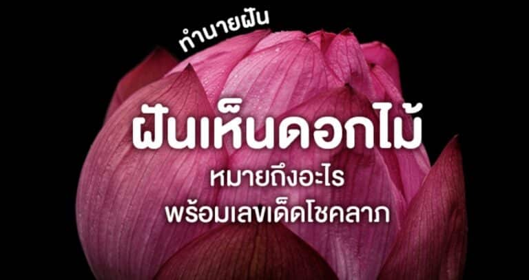 ฝันเห็นดอกไม้ 2566