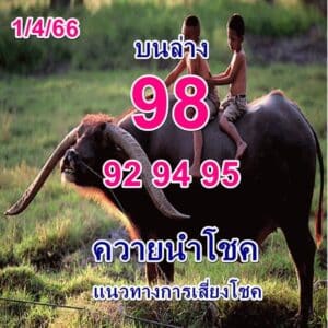 หวยควายนำโชค 1-4-66