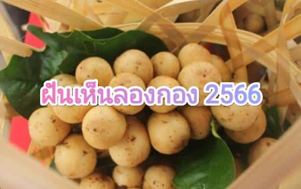 ฝันเห็นลองกอง 2566