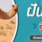 ฝันเห็นอูฐ 2566