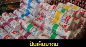 ฝันเห็นยาดม 2566