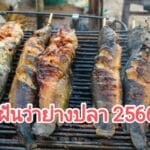 ฝันว่าย่างปลา 2566