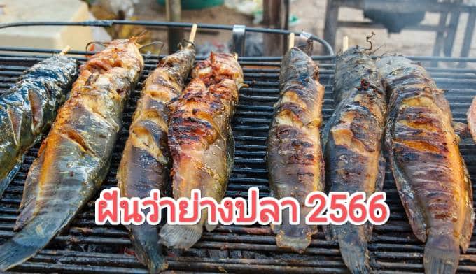 ฝันว่าย่างปลา 2566