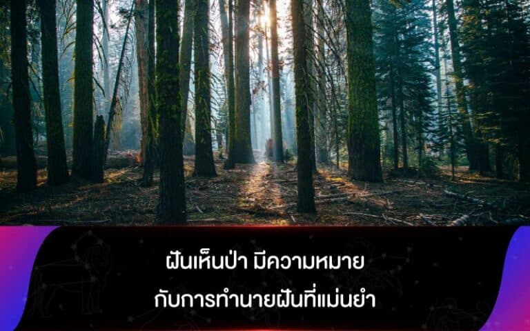 ฝันเห็นป่า 2566