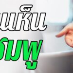 ฝันเห็นแชมพู 2566