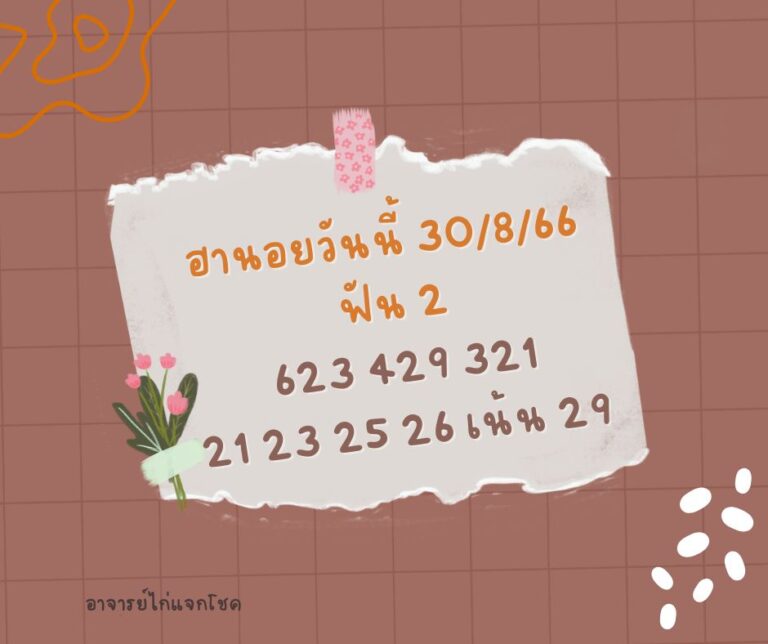 ฮานอยวันนี้ 30-8-66
