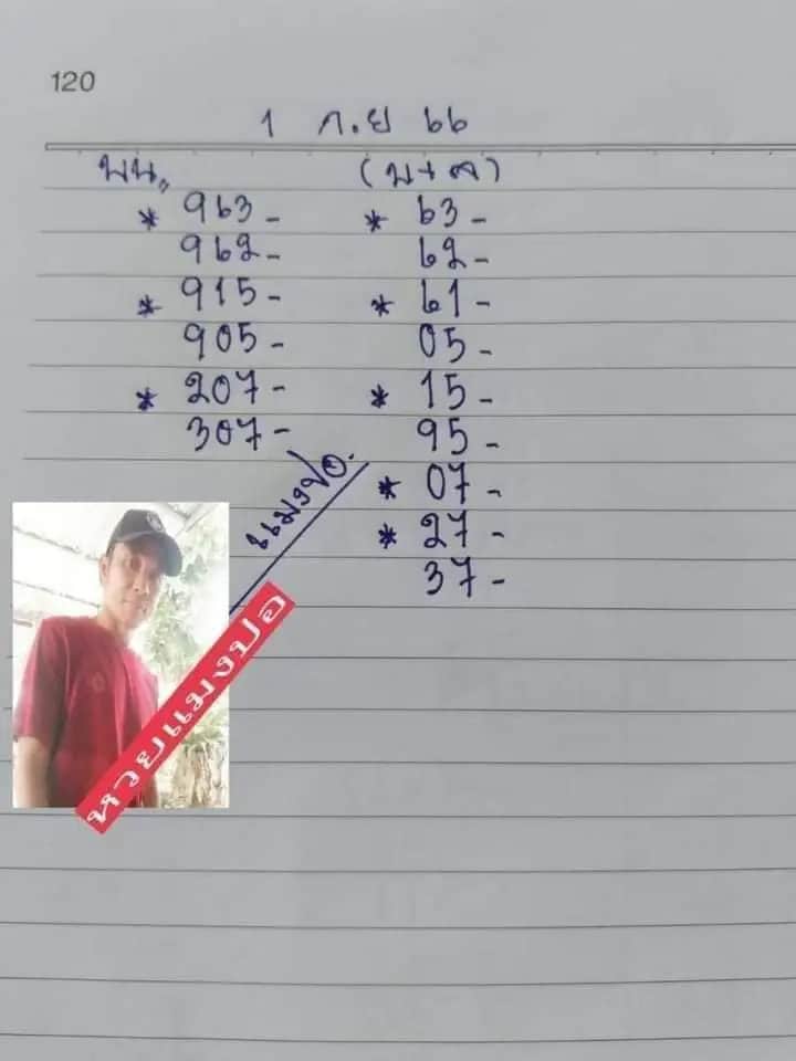 หวยแมงปอ 1-9-66