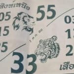 สิงห์เหนือเสือใต้ 1-10-66