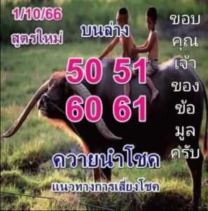 หวยควายนำโชค 1-10-66