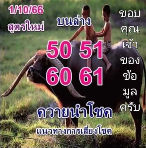 หวยควายนำโชค 1-10-66