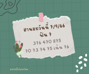 ฮานอยวันนี้ 7-9-66