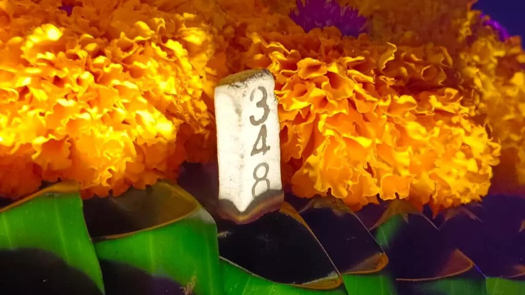 ข่าวบวงสรวงพญานาค 16-9-66