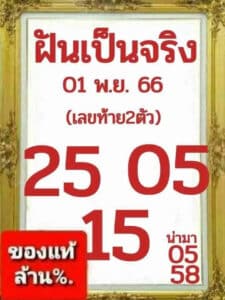 ฝันเป็นจริง 1-11-66