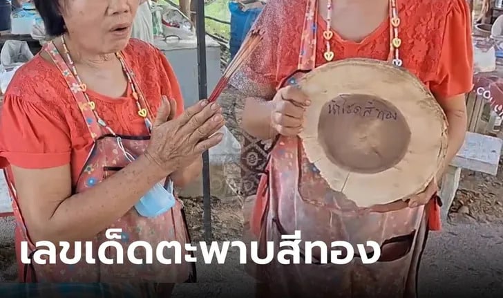 เลขตะพาบสีทอง 30-12-66