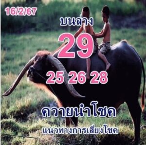 หวยควายนำโชค 16-2-67