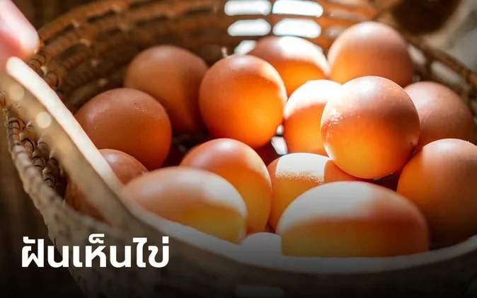 ฝันเห็นไข่ไก่ 2567