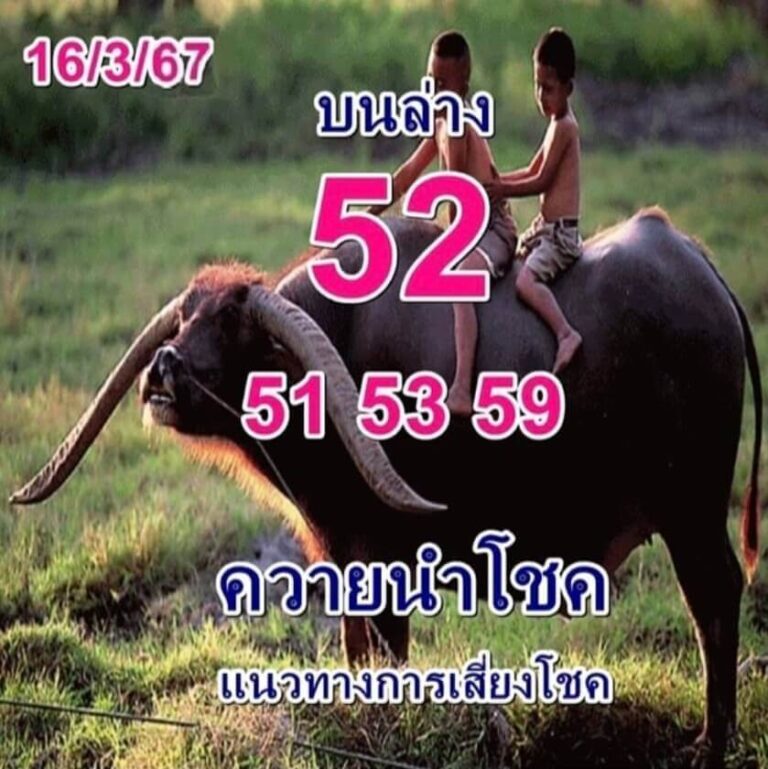 หวยควายนำโชค 16-3-67