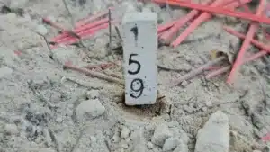 เลขเด็ด 16-3-69